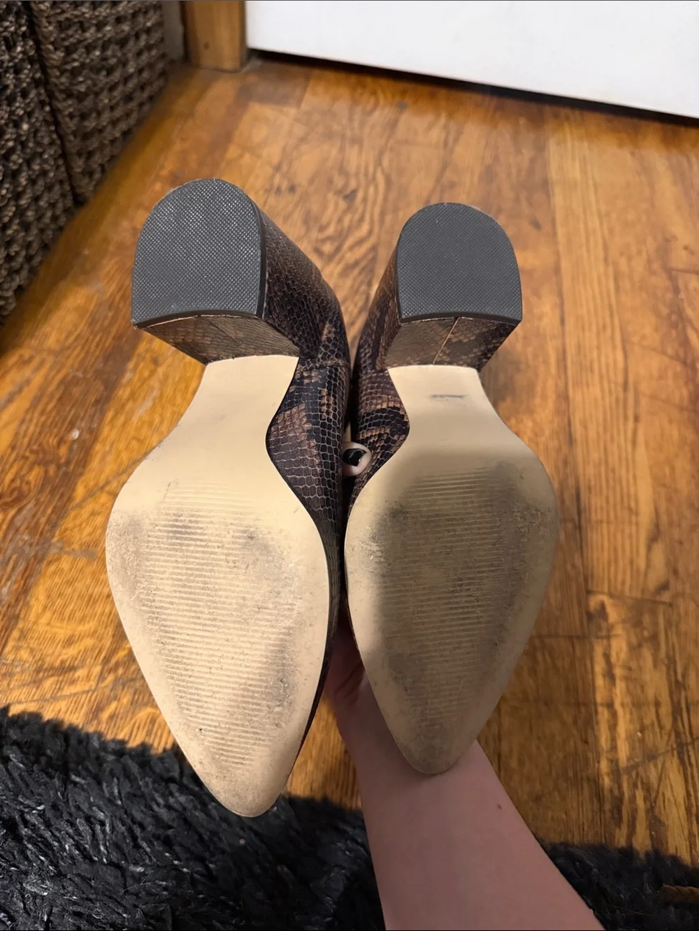 Steve Madden Brown Snake-Print Pointed Ankle Boots